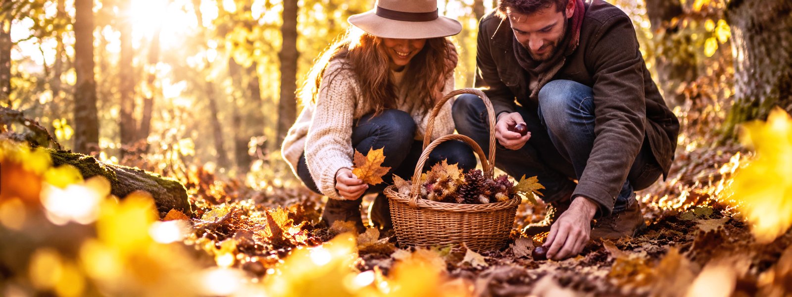 Couple ramassant des feuilles, châtaignes et pommes de pin lors d’une balade en amoureux en automne